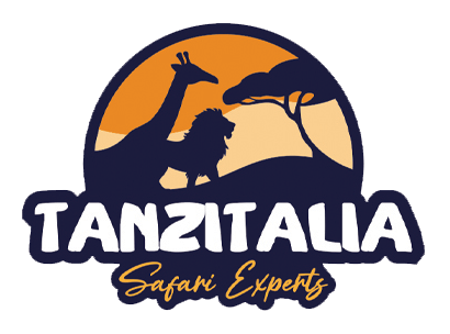Tanzitalia Safari Milano