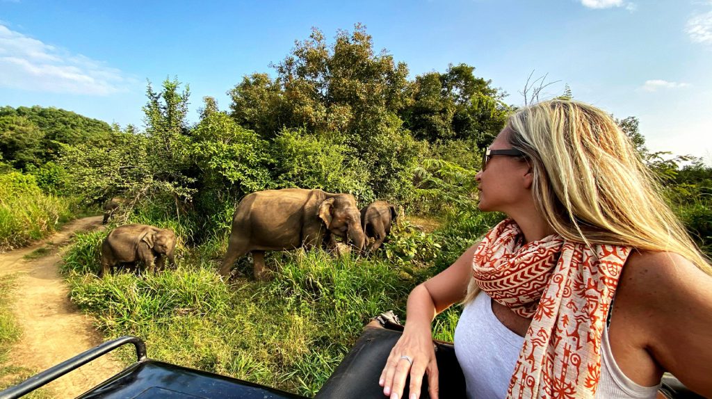 Safari: Parti per un’avventura in Tanzania