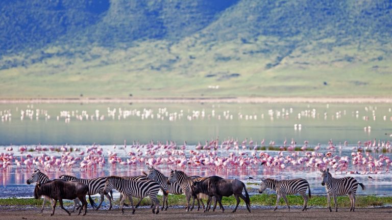 Tour Tanzania Nord 3 Giorni: Parchi del Tarangire, Manyara e Ngorongoro