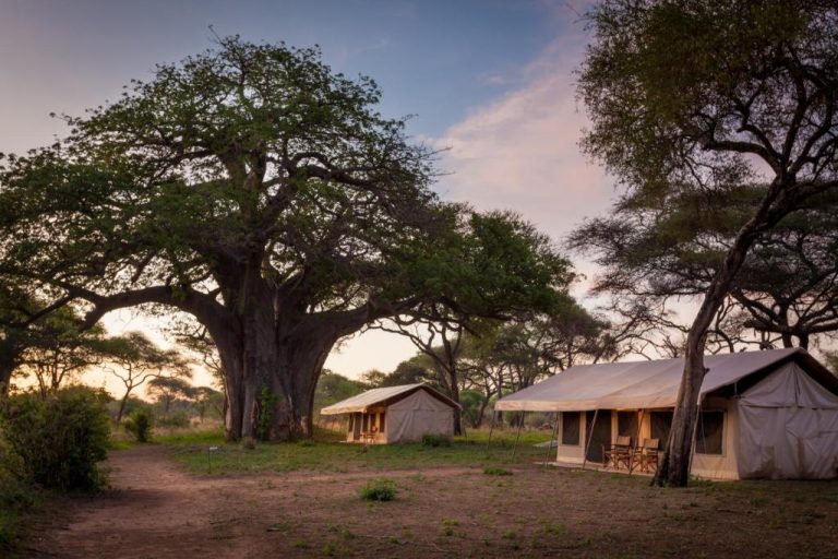 Dal parco nazionale de Tarangire al cratere di Ngorongoro