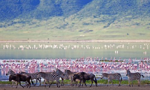 Tour Tanzania Nord 3 Giorni: Parchi del Tarangire, Manyara e Ngorongoro