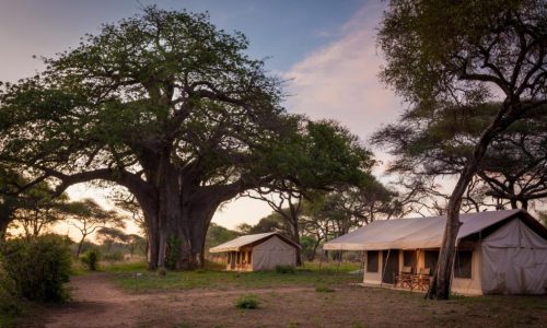 Dal parco nazionale de Tarangire al cratere di Ngorongoro